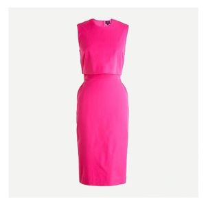 J Crew Fuchsia Dress: Size 6P NWT